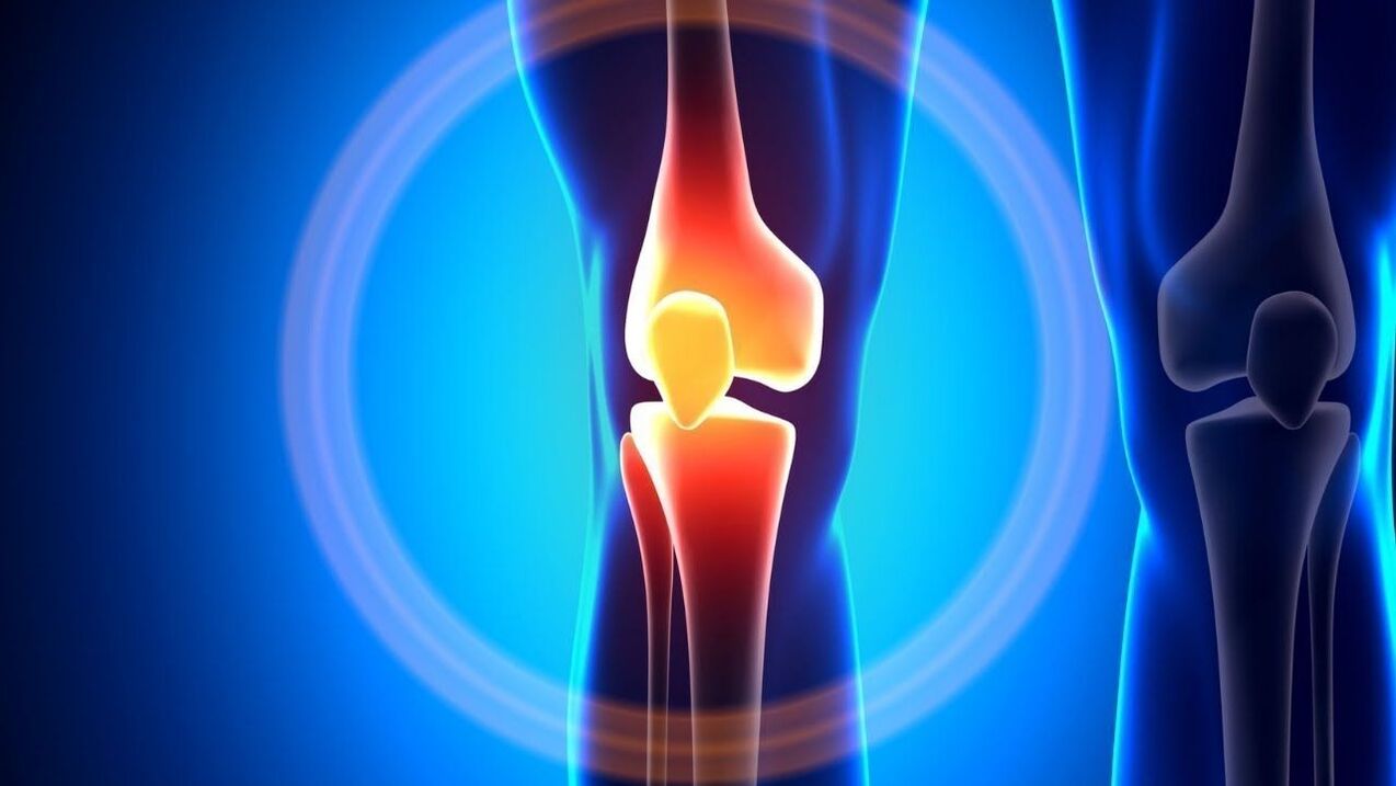 pain in the hip joint