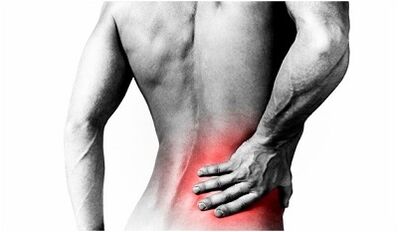 The cause of back pain in the lower back